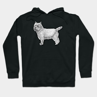 Cairn terrier Hoodie